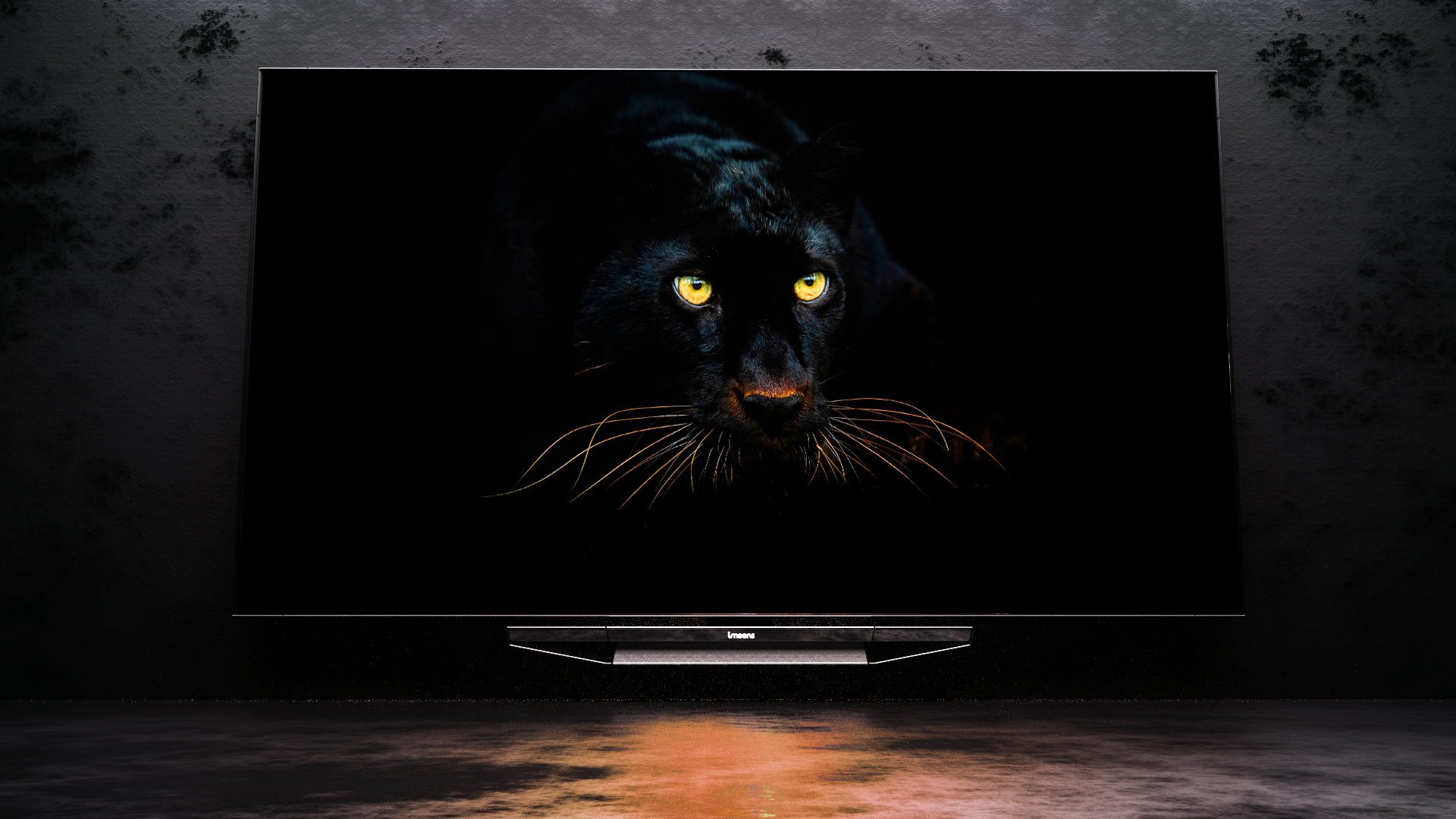 Écran géant Technologie BlacCoating®