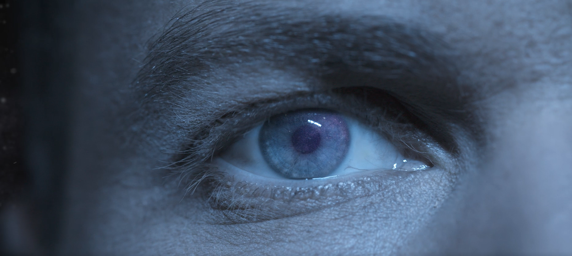 Champ de vision écran géant LED