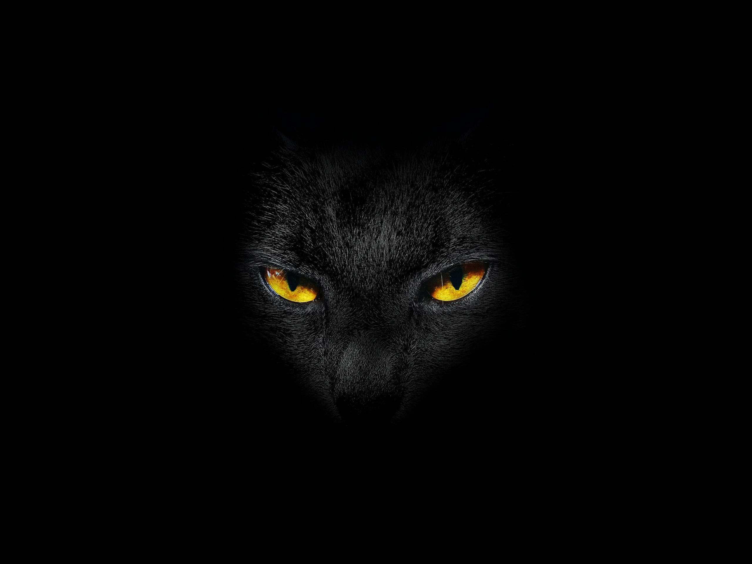 Écran géant Technologie BlackCoating®