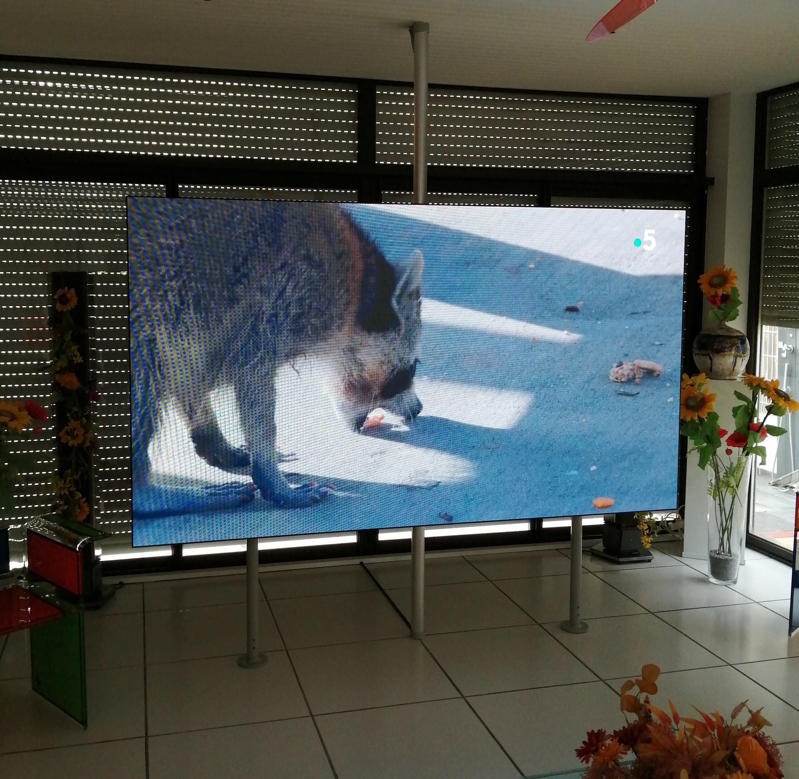 mur d'images LED écran géant MicroLED home cinéma