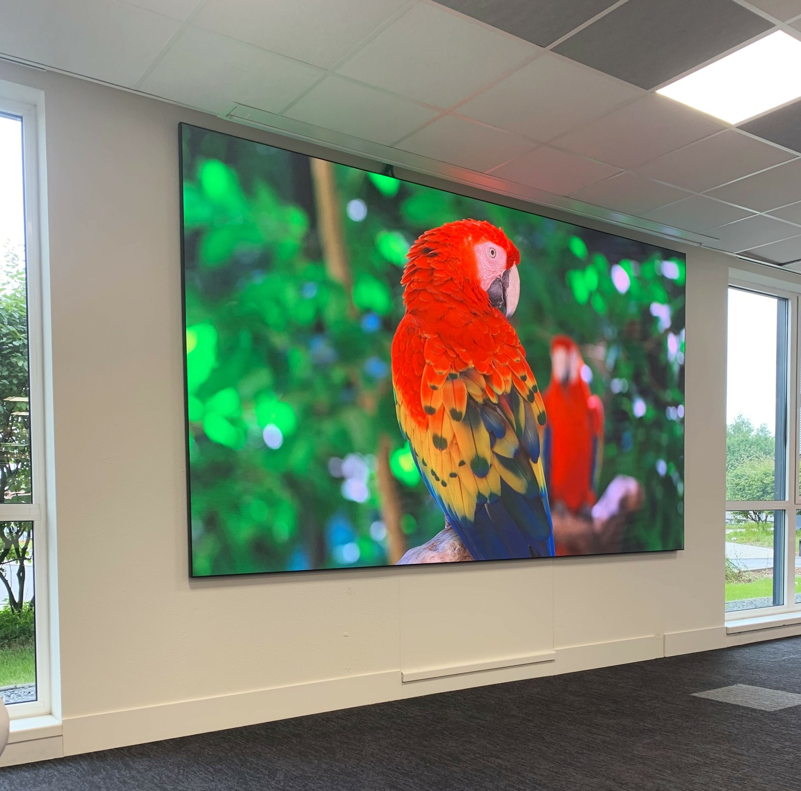 Imeens - Mur LED, TV grand écran géant LED vidéo intérieur MicroLED 4K